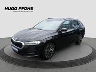 Skoda Octavia, 2.0 TDI Combi ERGO S, Jahr 2023 - Bad Segeberg