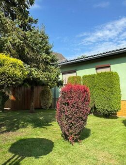 EFH mit viel Nebengelass, Garage, Carport, sehr gepflegter Garten in einer ruhigen, waldreichen Umgebung unweit vom Stadtzentrum und Haffbad - Torgelow