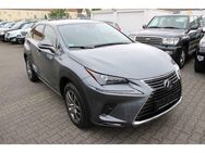 Lexus NX 300h h E-Four Executive Line *Navi*Leder*8-fac - Wiesbaden Kostheim