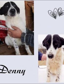 Denny - Köln
