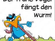 EU Bürgerin sucht Putzstelle ab 15 Uhr - Landshut