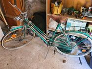 Damenfahrrad antik von 1956 für Liebhaber - Grasbrunn