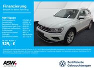 VW Tiguan, 1.5 TSI Highline, Jahr 2020 - Sinsheim