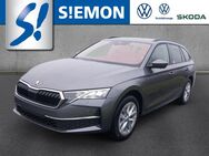 Skoda Octavia, 2.0 TDI Combi Sel, Jahr 2024 - Emsdetten