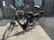 E-Bike Pedelec Gazelle Arroyo , Rahmengrösse 57 cm und 46 cm, schwarz - Haselünne
