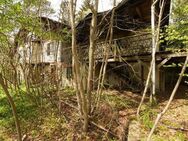 WALD/WEGE/HAUS/RUINE - Grundstückskonvolut gegen Gebot | 7 FlSt. von ca. 12.537 m² - Bad Berka