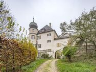 Herrschaftliches Schloss mit Freiflächen - Thalmassing