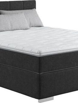 COTTA Boxspringbett Simba, Topseller! wahlweise mit oder ohne Matratze und Topper bestellbar