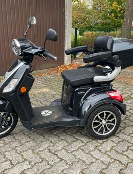 Rolektro E-Trike zu verkaufen - Bordesholm