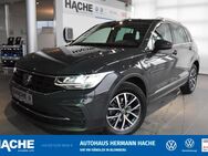 VW Tiguan, 2.0 TDI Life, Jahr 2023 - Blomberg (Nordrhein-Westfalen)