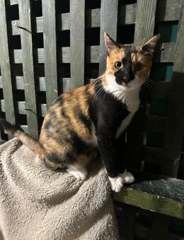 Cookie aus dem Tierschutz - Grevenbroich