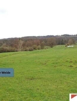 15.000m² großer Resthof mit Weide, Stallungen und Scheune im Auetal (Nähe Hannover) - Auetal