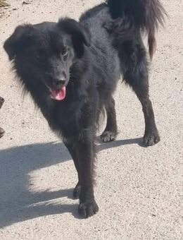 Ljil*Jano sportlich & neugierig - Müglitztal