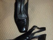 NEU * Klassisch * edel * Echt Leder * Kitten Heels * Slingbacks * Sling * Pumps * Schuhe "Peter Kaiser" Gr. 36½ - 37/ 4 * schwarz * - Riedlingen