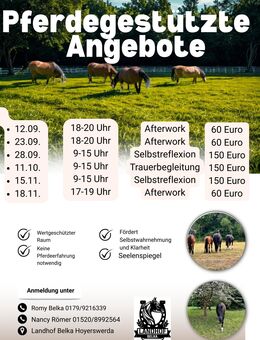 Pferdegestützte Angebote, Selbstreflexion, Achtsamkeit - Hoyerswerda