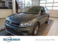 VW Tiguan, 1.5 TSI Highline, Jahr 2020 - Mainz