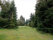 Sehr ruhig gelegen, Renovierungsbedürftiges EFH auf 3600m² zum Teil bebaubarem Grundstück - Hochspeyer