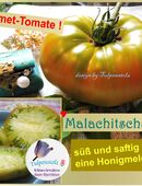 ♥ Bio Tomate Malachitschatulle,Samen,Melone samenfest Tulpenstolz,Malakhitovaya Shkatulka,Smaragd grün, honigsüß,Garten,Saatgut alte Sorte, Malachit Schatulle in 22457