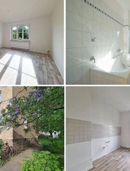 renovierte Altbauwohnung nahe der Innenstadt im beliebten 1. OG - Freiberg