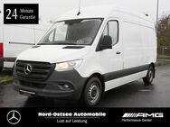 Mercedes Sprinter, 314 HolzfußBod, Jahr 2019 - Husum (Schleswig-Holstein)