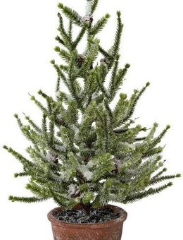 my home Künstlicher Weihnachtsbaum Weihnachtsdeko, künstlicher Christbaum, Tannenbaum, Fichte mit Schnee