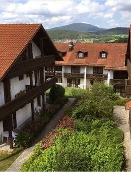 Apartments im Grünen HERZ des Nationalparks Bayerischer Wald - Zwiesel