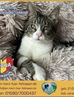 Loona wartet auf ihre Herzensmenschen! - Waakirchen