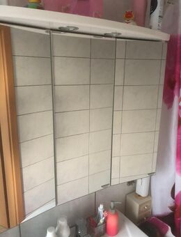 Spiegelschrank Bad 3 D massiv - Breitenbach (Herzberg)