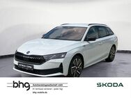 Skoda Octavia, 1.5 TSI Combi Sportline, Jahr 2024 - Balingen