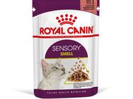 Royal Canin Sensory Smell in Soße - 12 x 85 g