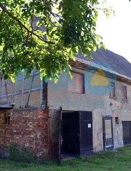Historisches Bauernhaus mit Ausbaupotenzial auf idyllischem Grundstück - Haselbach (Thüringen)