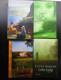 45 Bücher zus. 5,- Frauenromane Liebesromane Romane für Frauen - Flensburg