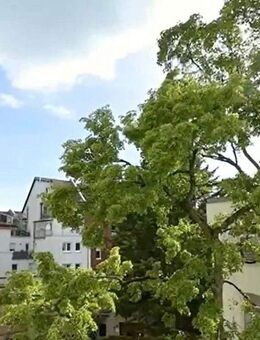 Kapitalanlage TOP! DA- Johannesviertel !!! Zwei Wohnungen - ganze Etage 151 m² - 6 Zimmer !!! - Darmstadt