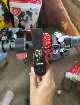 E-Scooter mit Straßenzulassung - Halberstadt