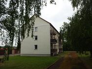 Frisch renovierte Komfort 3 - Raum - Wohnung in modernisiertem Wohnhaus in schöner grüner Ruhiglage von Leislau * Balkon * Renoviert - Naumburg (Saale) Janisroda