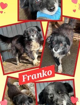 kleiner, lieber Franko bald auf PS 91278 - Nürnberg