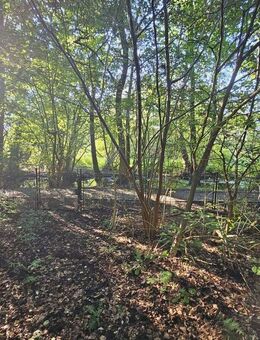 Baugrundstück an der Briese. Baufreiheit ab Oktober 2024! - Birkenwerder