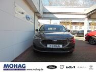 Ford Focus, 1.0 EcoBoost Mild-Hybrid EU6d Titanium, Jahr 2023 - Datteln