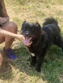 Soziale JESSIE = bereit für ihr GLÜCK ♥️ - München