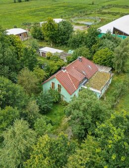 Pferdeliebhaber aufgepasst - wunderschöner Pferdehof in Alleinlage - Aurich