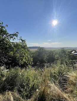 Wohnen in naturnaher Lage mit Fernblick - Blankenburg (Harz)