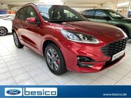 Ford Kuga, ST-Line X, Jahr 2024 - Glauchau