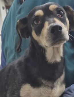 NATI HOFFT AUF IHR GLÜCK - Nörten-Hardenberg