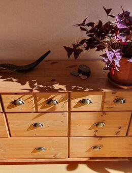 Sideboard Kommode Kiefernechtholz im Apothekerschrank-Stil - Köln