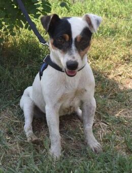 Jolly Jumper - Süderbrarup