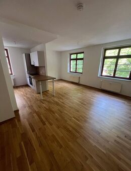 Moderne EBK - Tageslichtbad - im 1.OG - frei ab sofort - Chemnitz