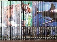 DVD Sammlung Tiere Komplett - Berlin Reinickendorf