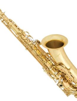 Antiqua TS 4240 LQ GH PRO WOODWIND Tenorsaxophon, Neuware - Hagenburg