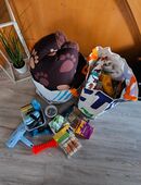 Jede Menge Hundezubehör in 30982