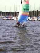 3 Std. Hobie Cat 16 segeln Steinhuder Meer - Bootsverleih Kielhorn / Steg N 21 in 31535